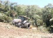 Mulching of Large Gorse